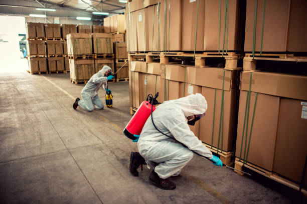Best Affordable Pest Control Services  in Deep River Center, CT