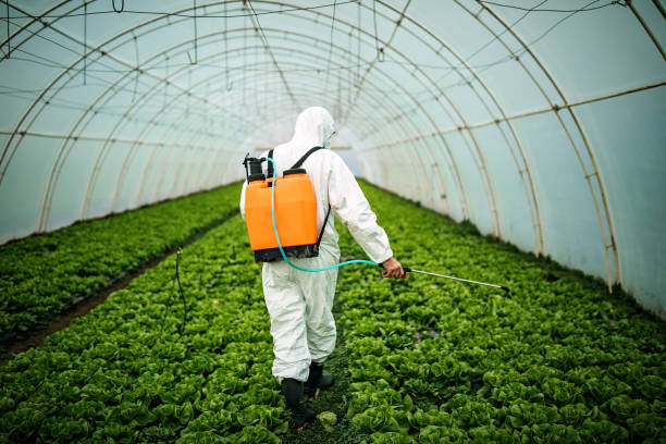 Best Best Pest Control Companies  in Deep River Center, CT