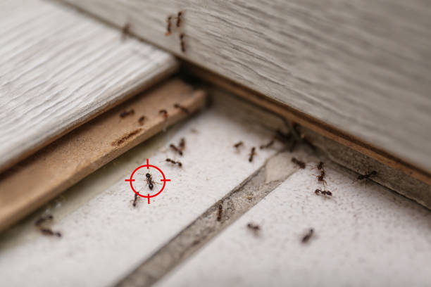 Pest Control for Restaurants in Deep River Center, CT