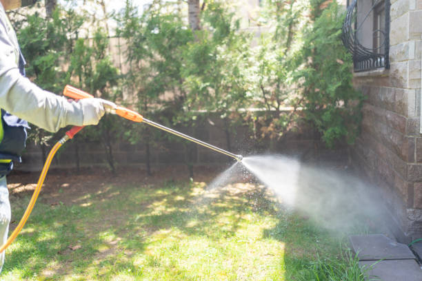Best Best Pest Control Companies  in Deep River Center, CT