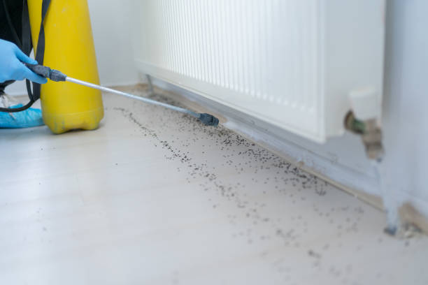 Pest Control for Restaurants in Deep River Center, CT