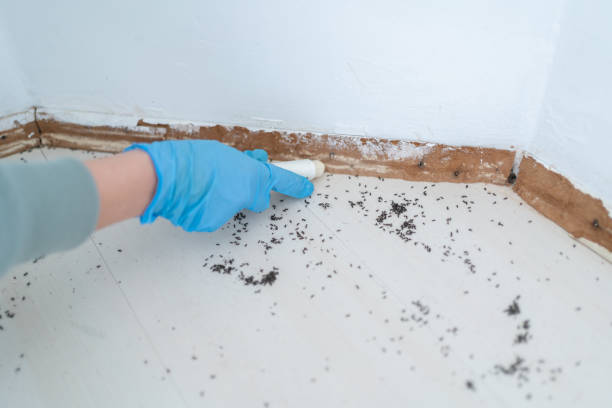 Best Pest Removal Services  in Deep River Center, CT