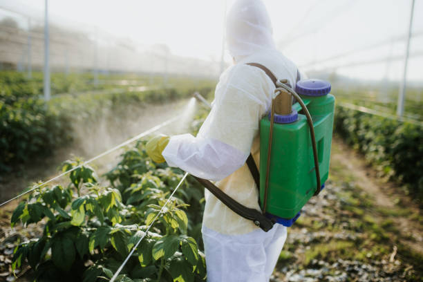 Best Residential Pest Control  in Deep River Center, CT